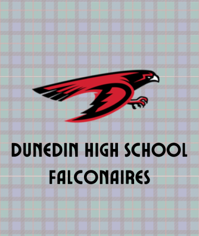 Dunedin High Falconaires