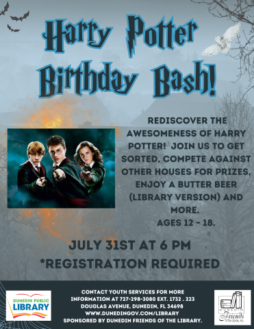 Teen Harry Potter Birthday Bash
