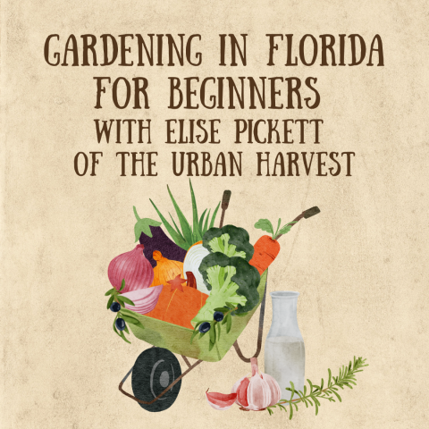 Gardening in Florida for Beginners