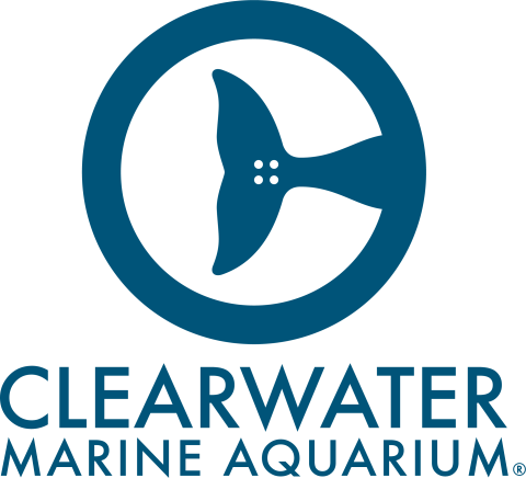 Clearwater Marine Aquarium