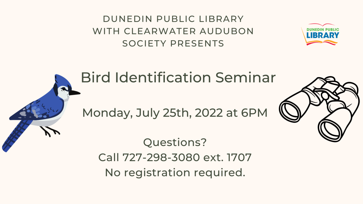 Bird Identification with Clearwater Audubon Society